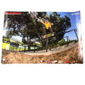 Bones Bearings 36" x 24" Andy Anderson Poster